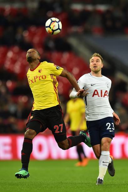 迷奉献了精 迷奉献了精